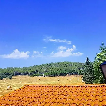 Cal Rusc Allotjament Rural Bed & Breakfast *